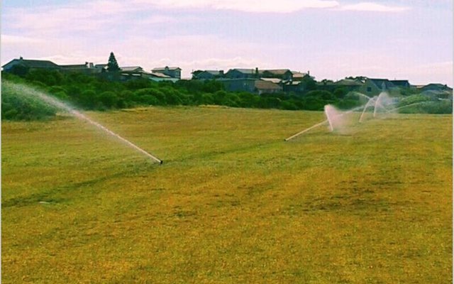 Besproeiing op die 16de skoonveld